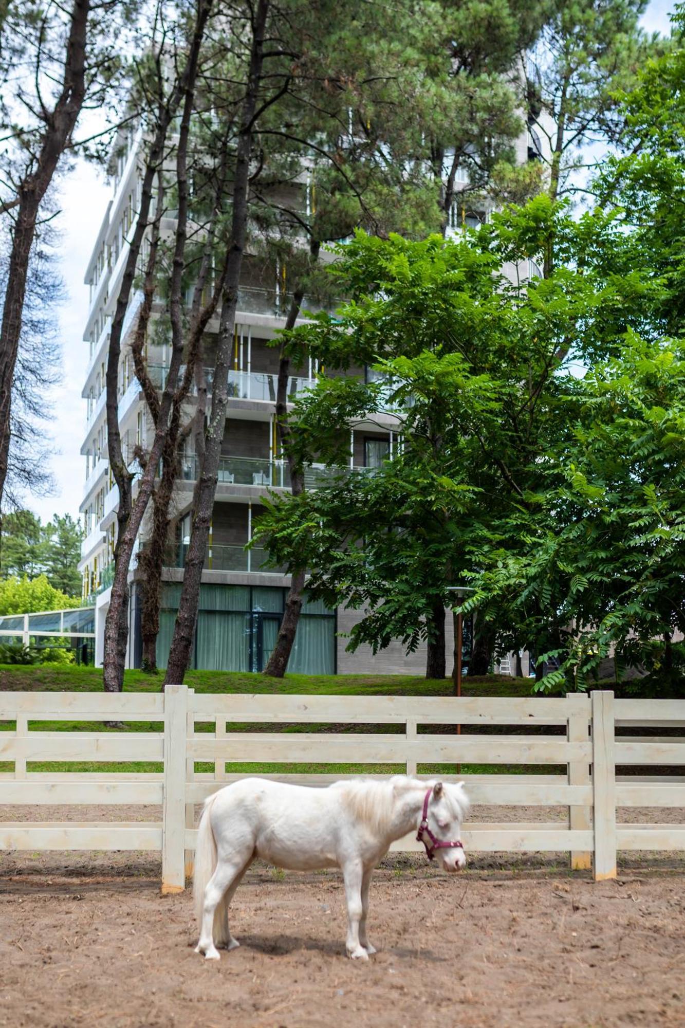 Magnika Resort Shekhvetili Esterno foto