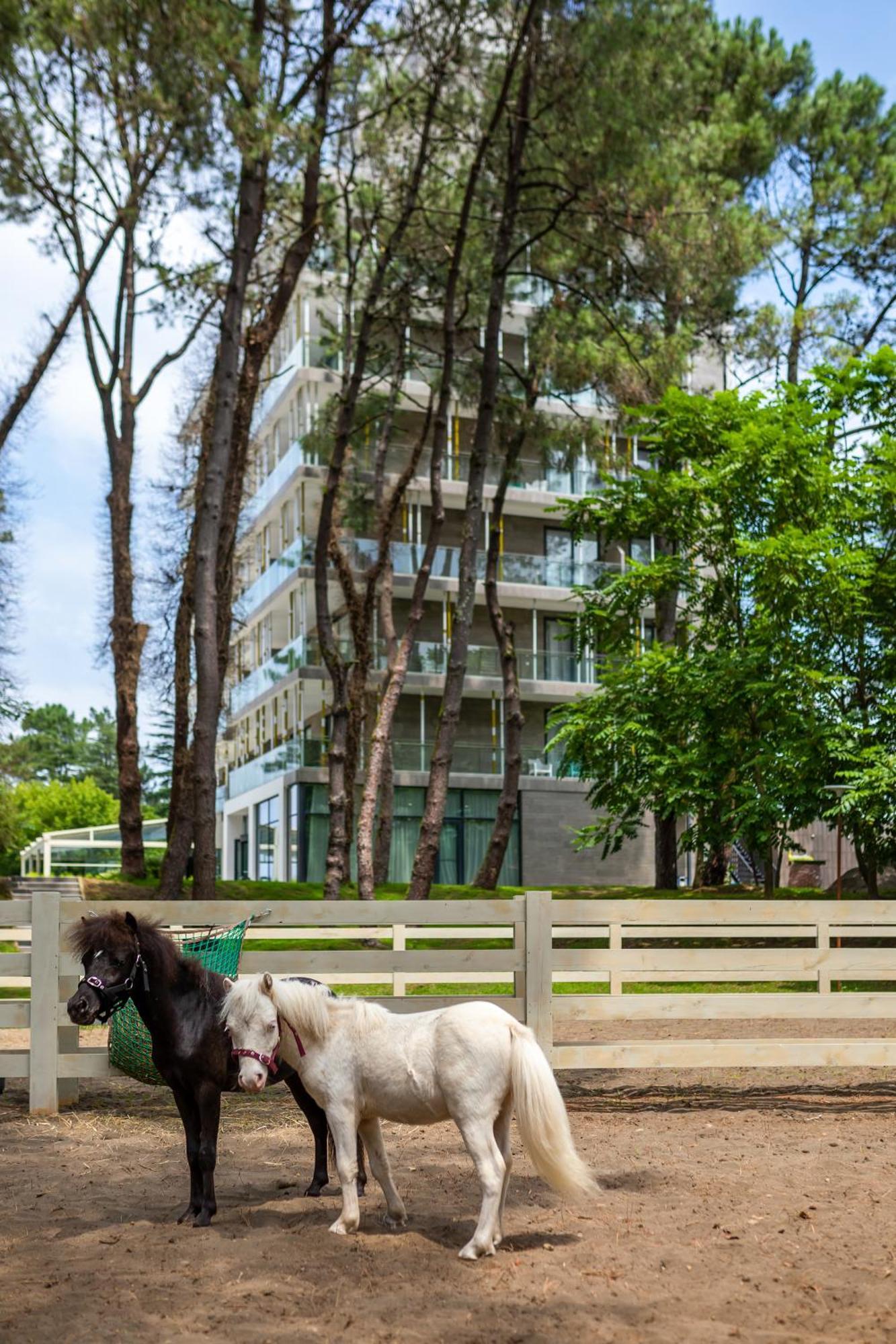 Magnika Resort Shekhvetili Esterno foto